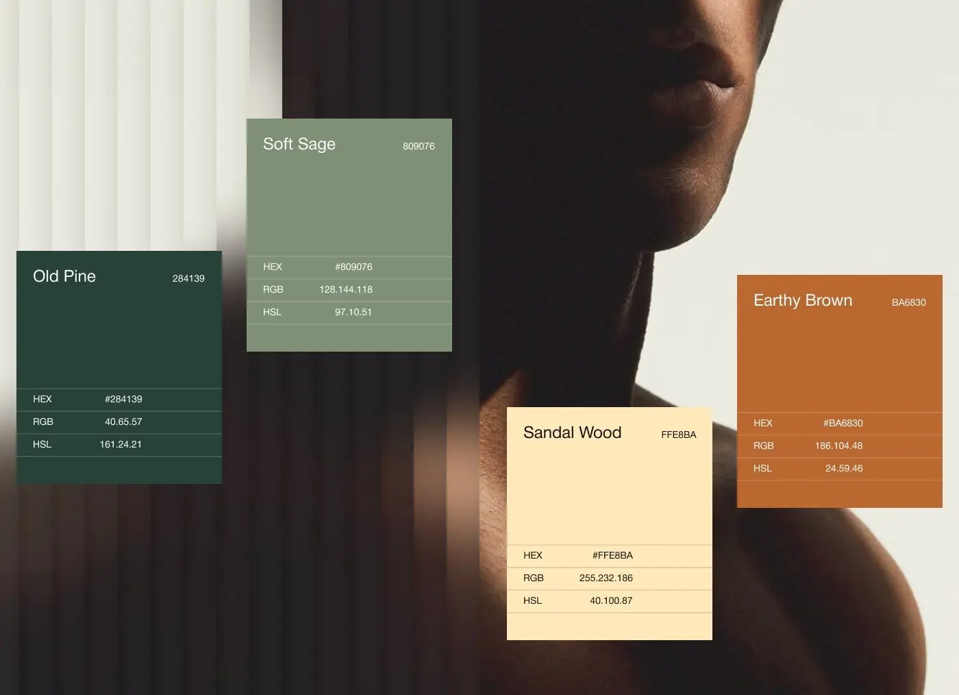 ALPHA colour palette cards